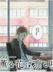 认识的哥哥韩国综艺免费海报